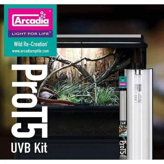 Arcadia Prot5 UVB Kit With Bulb for Reptile Bearded Dragons Uromastyx