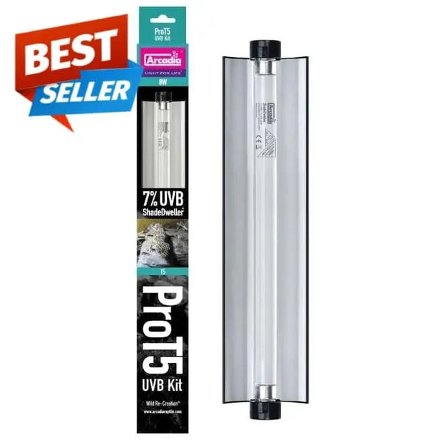 Buy UV Reptile Light Reptile Light Fixtures Talis Us