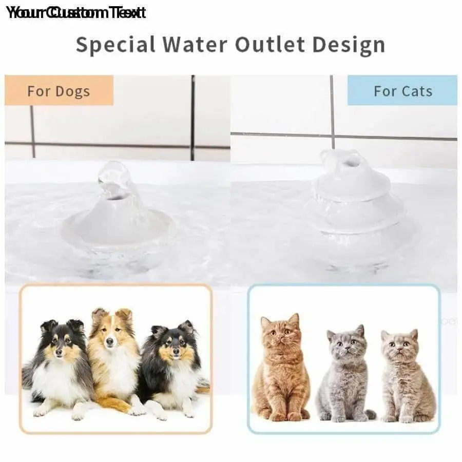 Automatic pet water dispenser dog water feeder Talis Us