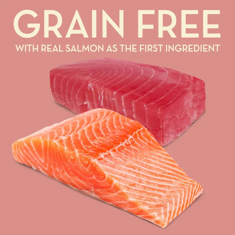 AvoDerm Grain Free Salmon with Tuna Meal Dry Cat Food AvoDerm CPD