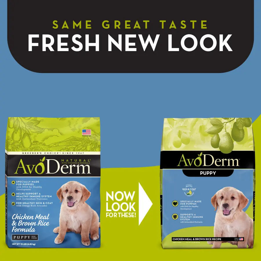 Avoderm 2024 puppy food