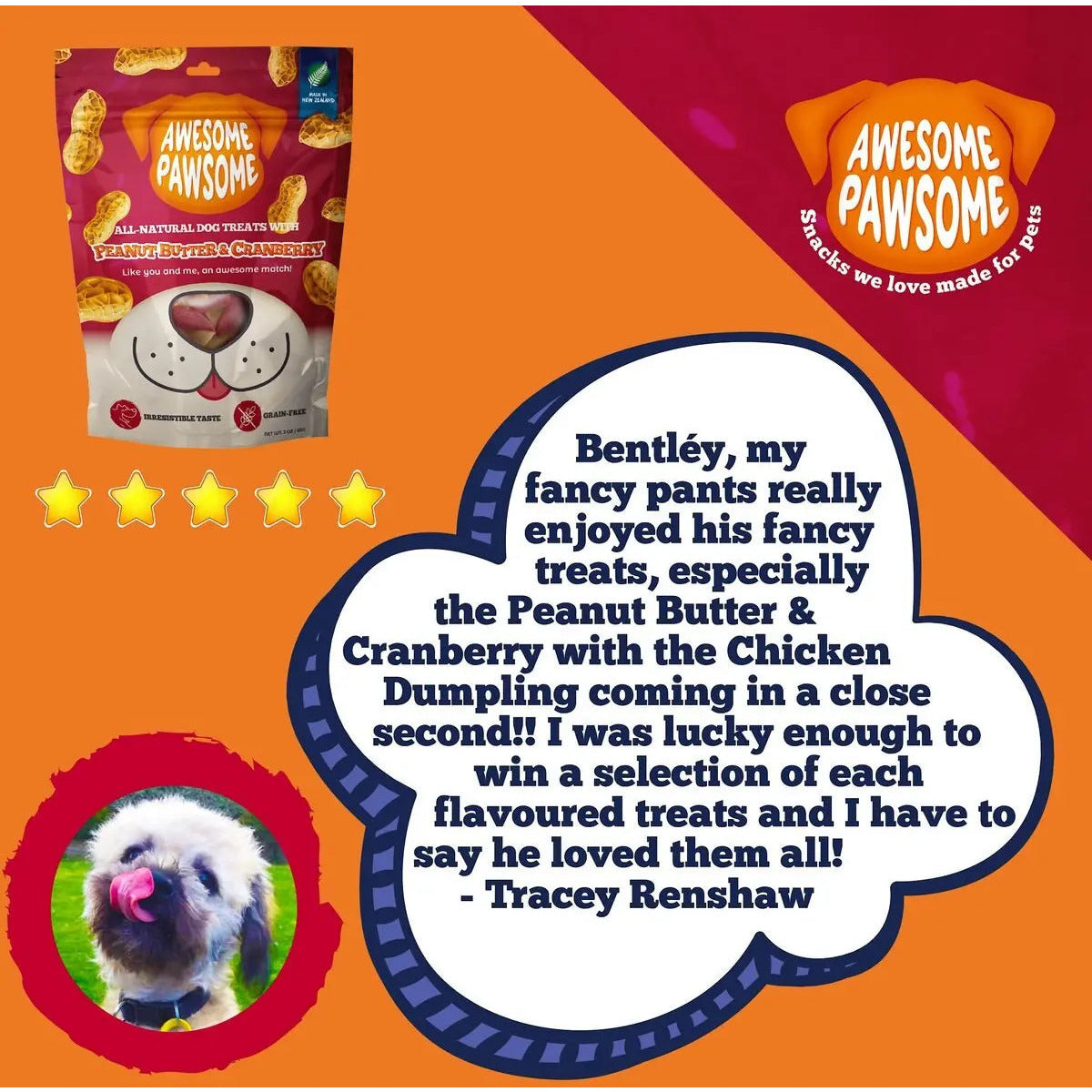 Awesome Pawsome Peanut Butter & Cranberry Dog Treats 3oz Awesome Pawsome