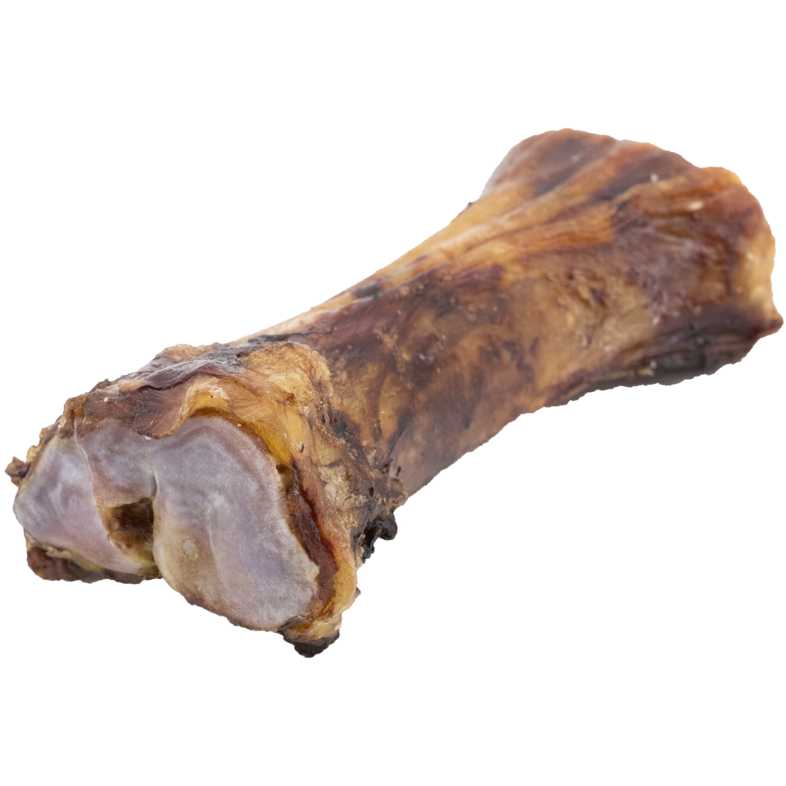 BarknBig Beef Shin Bone Long Lasting All Natural Gourmet & Healthy Dog Bone Treat Chews BarknBig