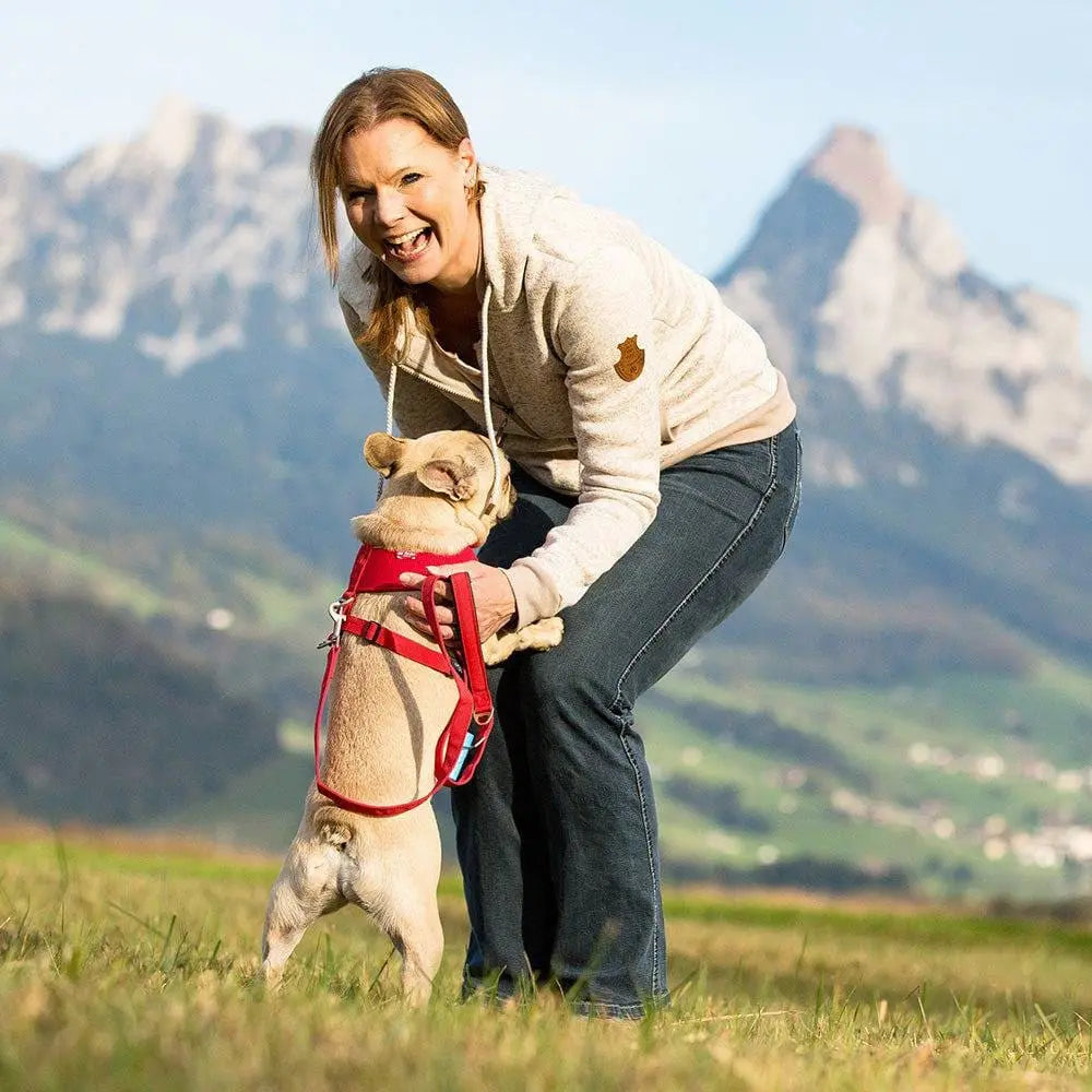 Basic Harness Air-Mesh Dog Harness Pet Vest Adjustable Step-in Light Harness Curli
