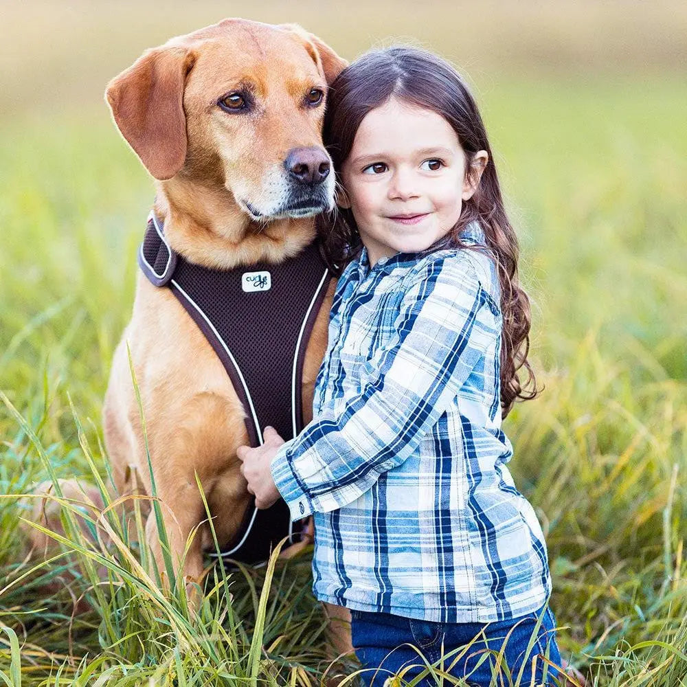 Belka Big Dog Harnesses Adjustable Step-in Choke-Free Reflective Vest for Larger Dogs Curli