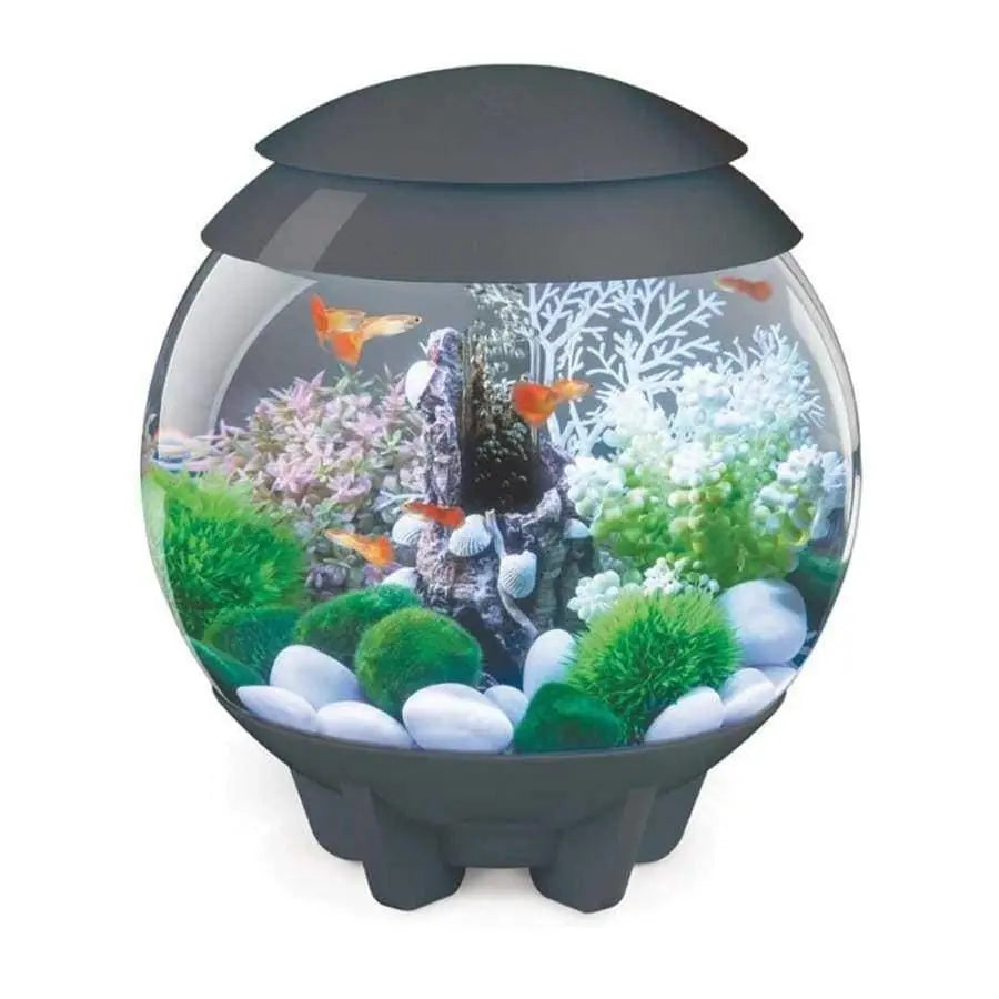 BiOrb HALO Multi Color Remote Acrylic Aquarium Kit Talis Us