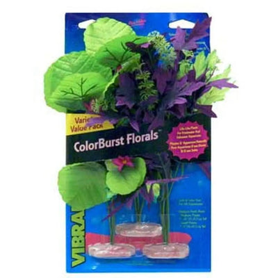 Blue Ribbon Colorburst Florals Amazon Flowering Cluster Variety Pack 3 Plants Blue Ribbon Pet