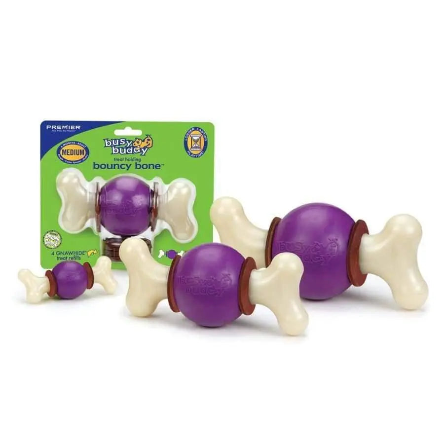 Busy Buddy Bouncy Bone Dog Chew Multi-Color Busy Buddy CPD