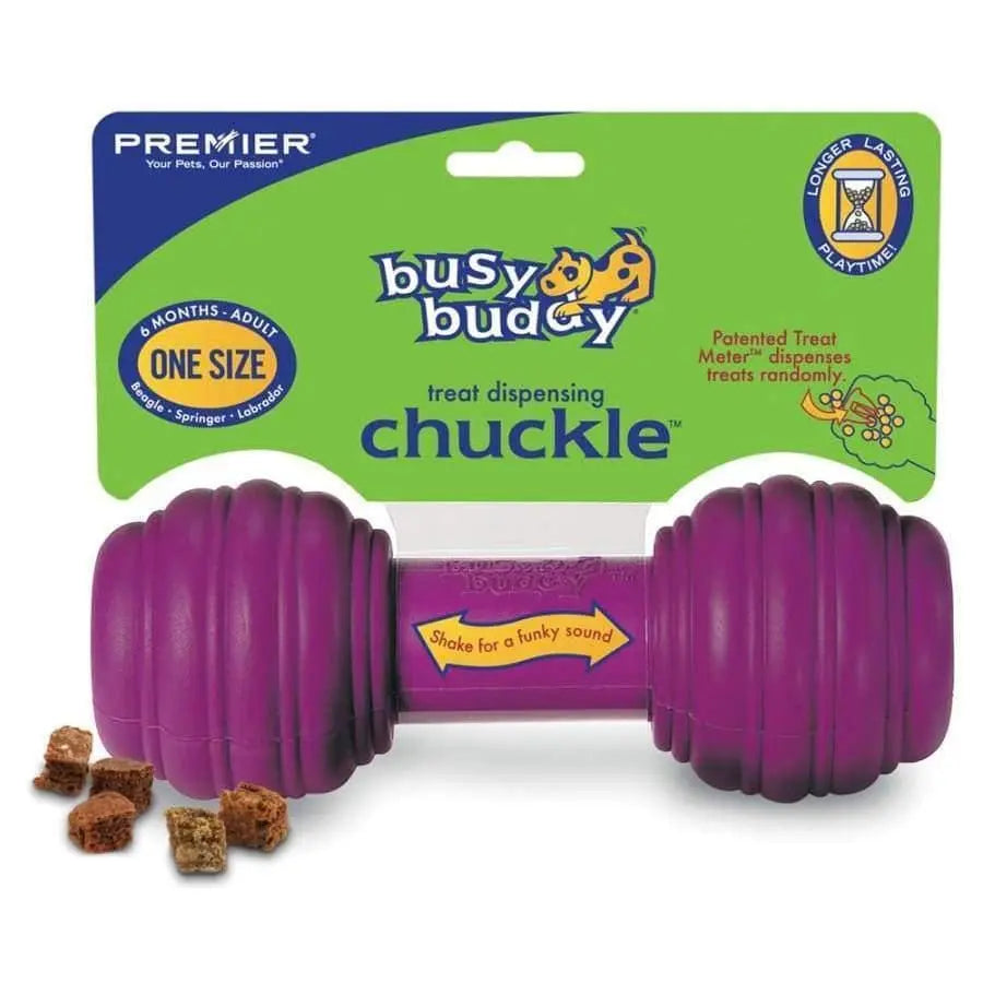 Busy Buddy Chuckle Dog Toy Purple 1ea/Medium, Large Busy Buddy CPD