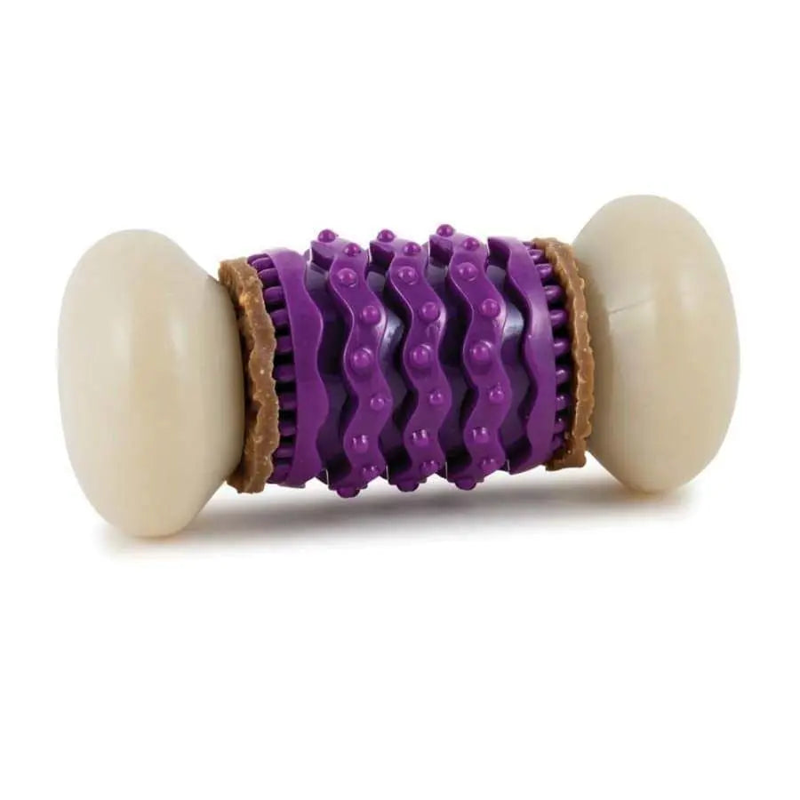 https://talis-us.com/cdn/shop/products/Busy-Buddy-Nobbly-Nubbly-Dog-Toy-Purple_-White-Busy-Buddy-CPD-1664214639.jpg?v=1664214640&width=1445