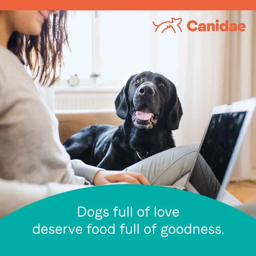 CANIDAE PURE Grain-Free Real Bison, Lentil & Carrot Recipe Dry Dog Food Canidae CPD