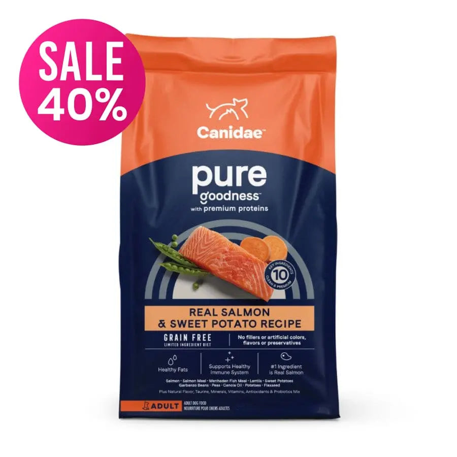 CANIDAE PURE Grain-Free Real Salmon & Sweet Potato Recipe Best Dry Dog Food Canidae CPD