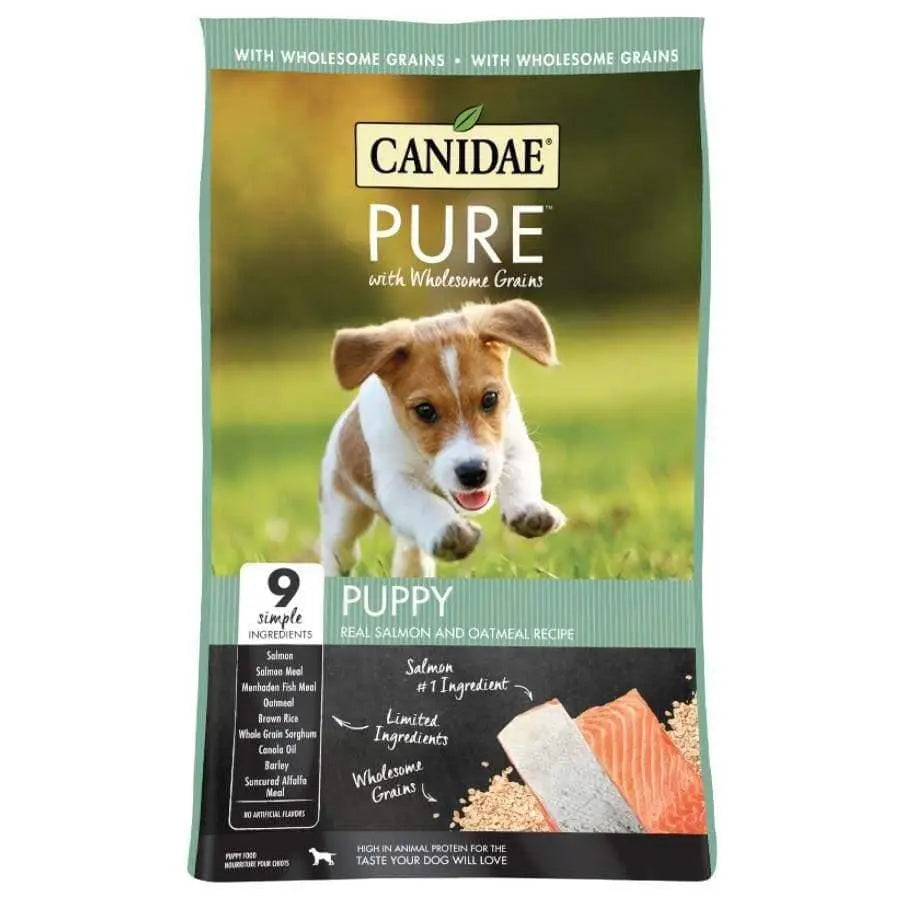 CANIDAE PURE with Wholesome Grains Puppy Real Salmon & Oatmeal Recipe Dry Dog Food Canidae CPD