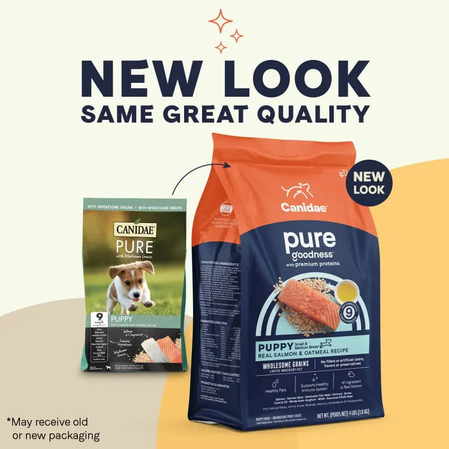 CANIDAE PURE with Wholesome Grains Puppy Real Salmon & Oatmeal Recipe Dry Dog Food Canidae CPD