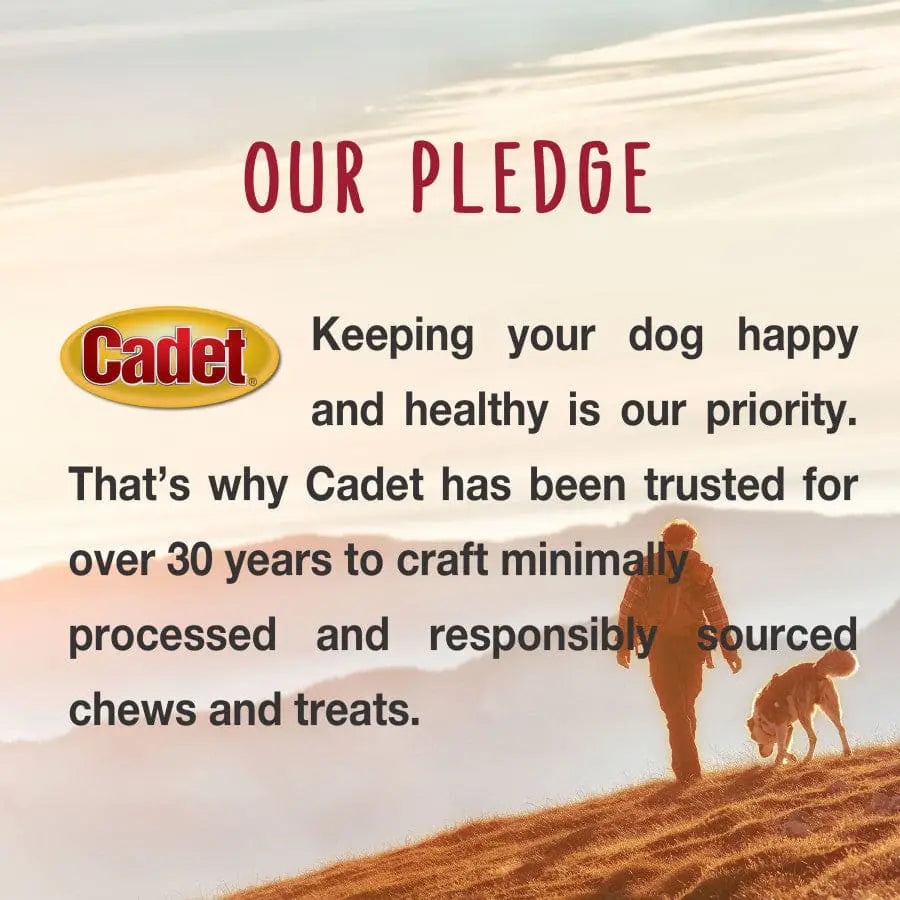 Cadet Farm to Paws Beef Chops - Natural Dog Chews 8 oz Cadet