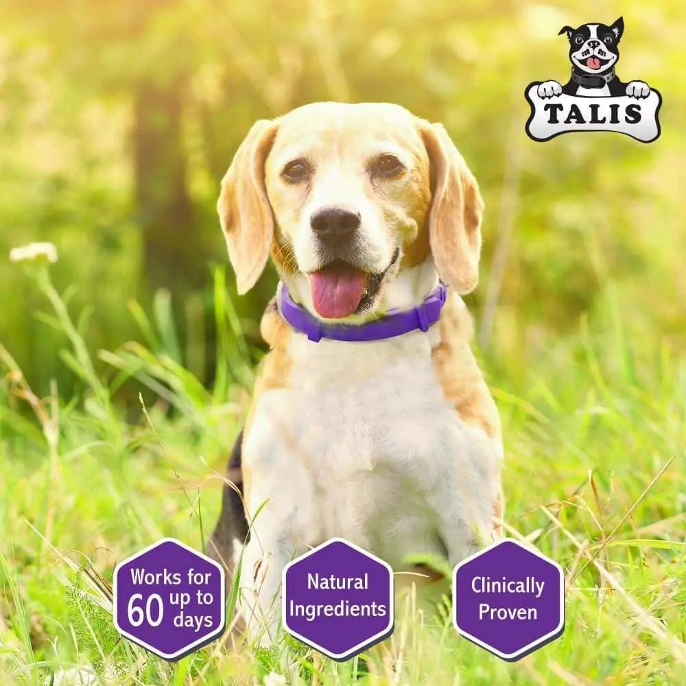 Calming Collar for Dogs Made with Natural Ingredient to Help Your Dog Allays Feel Secure, Happy and Talis Us