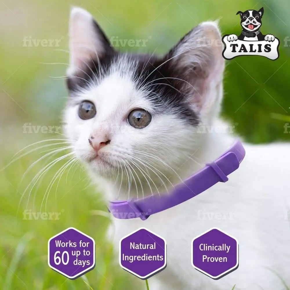 Calming Pheromone Collar for Cat