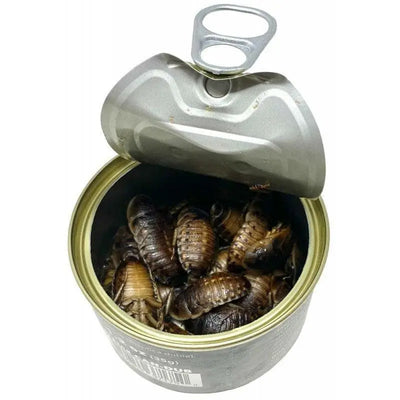 Canned Reptile Food Dubia Roaches Lugartis
