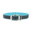Circle T® Double-Ply Fashion Leather Collar Coastal Pet