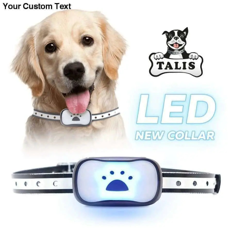 Collar Dog Bark Anti No Barking Shock Training Pet Control Rechargeable Small Talis Us