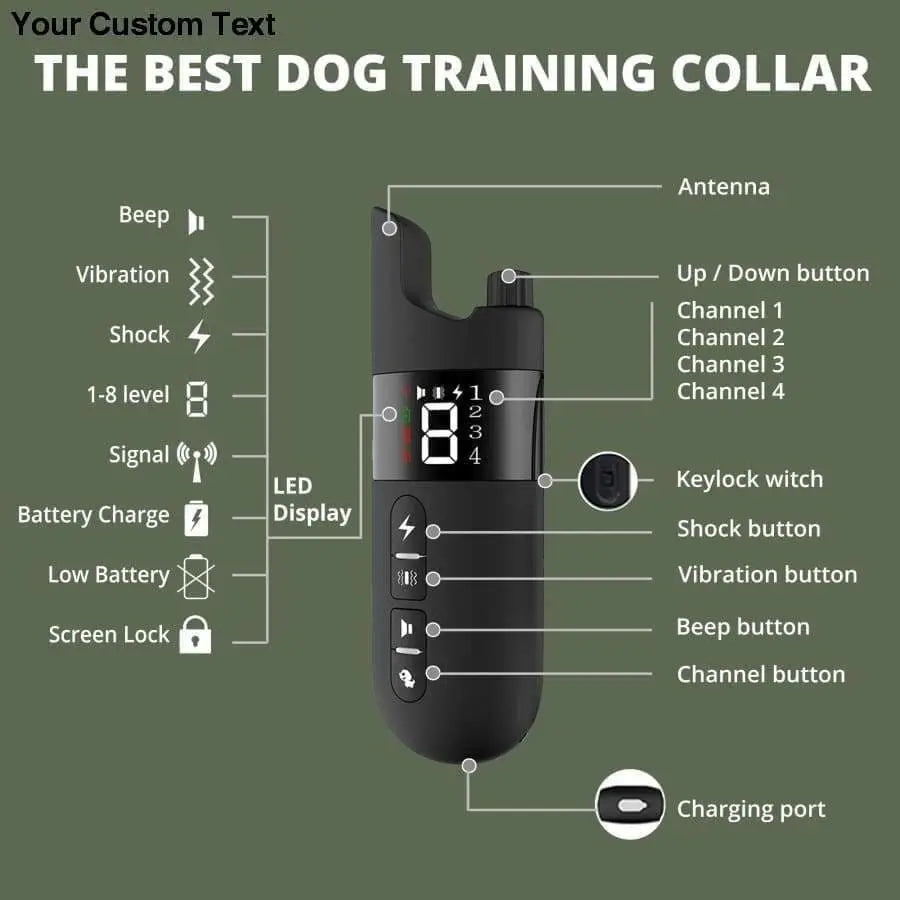 Collar Dog Training Shock Remote Waterproof Rechargeable Pet Electric Yard Large Control Small 2000 Talis Us