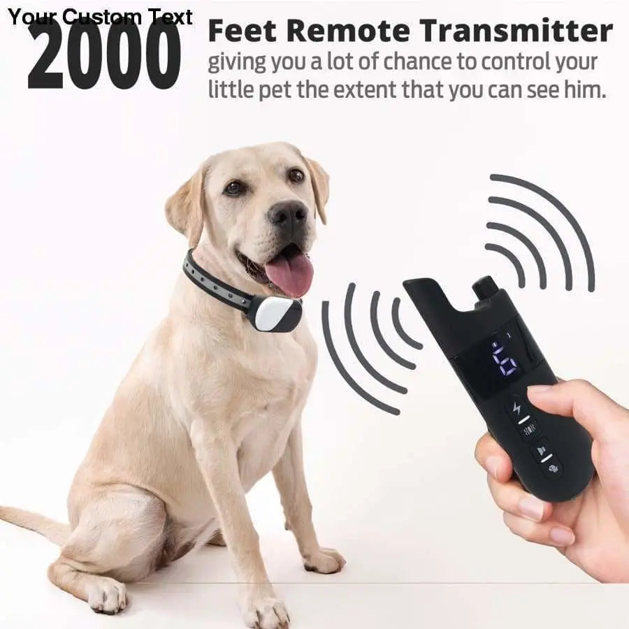 Collar Dog Training Shock Remote Waterproof Rechargeable Pet Electric Yard Large Control Small 2000 Talis Us