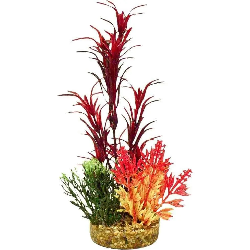 Color Burst Florals Garden Bouquet Plant Blue Ribbon Pet