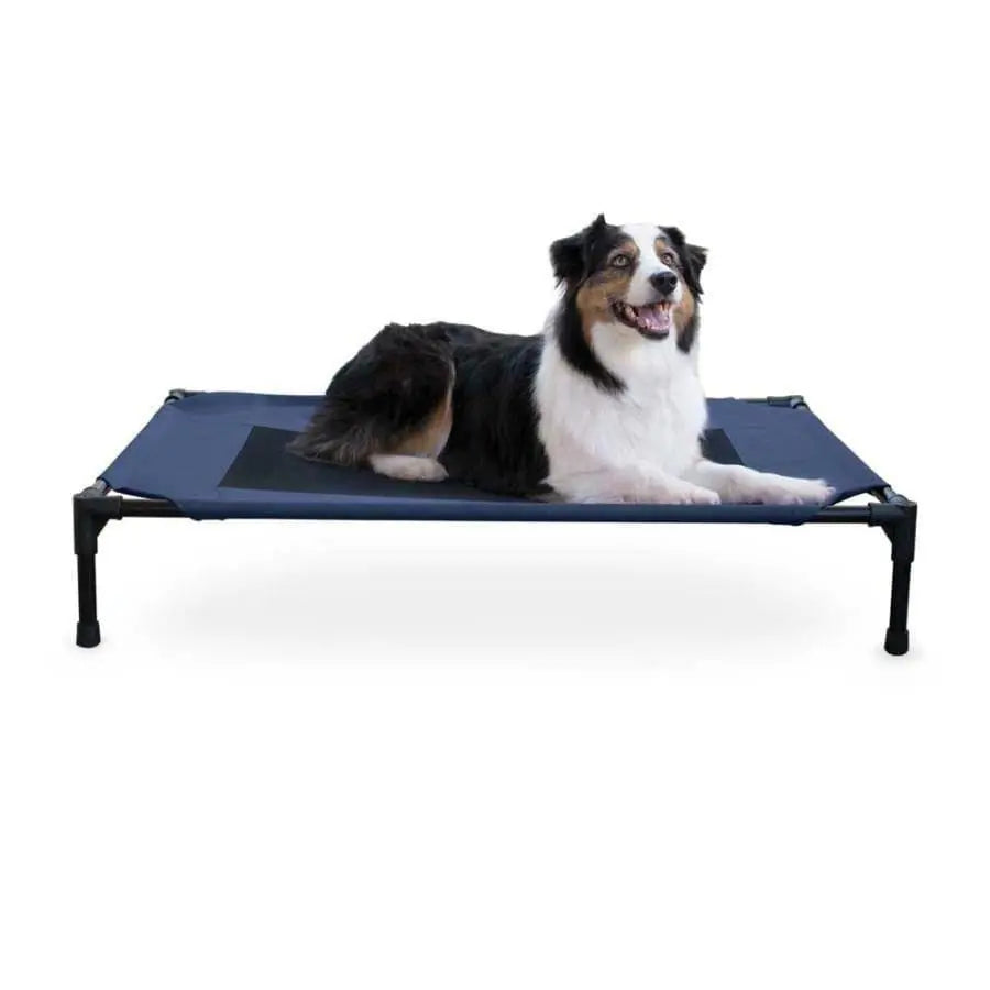 Creative Solutions by K&H Elevated Pet Bed Navy Blue Creative Solutions CPD