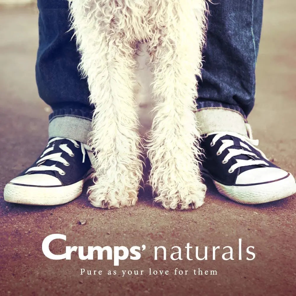 Crumps' Naturals Sweet Potato Fries Chews For Dogs 4.8 oz Crumps' Naturals