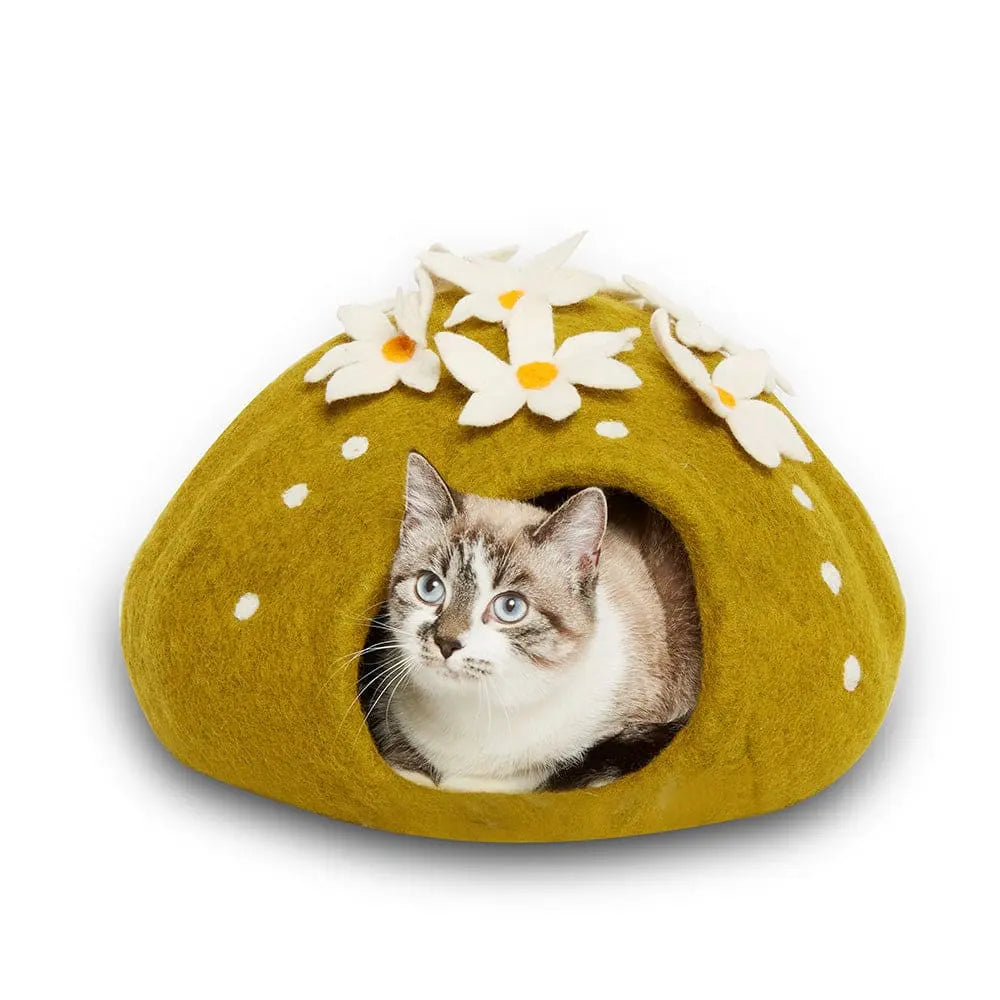 Dharma Dog Karma Cat Wool Pet Cave Cactus Small Dogs & Cat Bed Dharma Dog Karma Cat