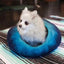 Dharma Dog Karma Cat Wool Pet Cave, Ombre, Dharma Dog Karma Cat