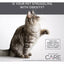 Diamond Care Grain-free Weight Management Formula Adult Dry Cat Food Diamond Care