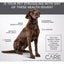 Diamond Care® Sensitive Skin Formula Adult Dry Dog Food Diamond Care