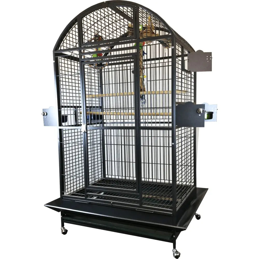 Dome Top Cage with 1" Bar Spacing 40"x30"x75" A&E Cage Company