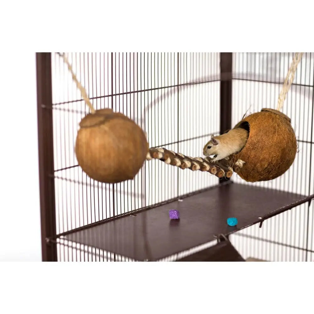 Double Coconut w/ Ladder Prevue Pet