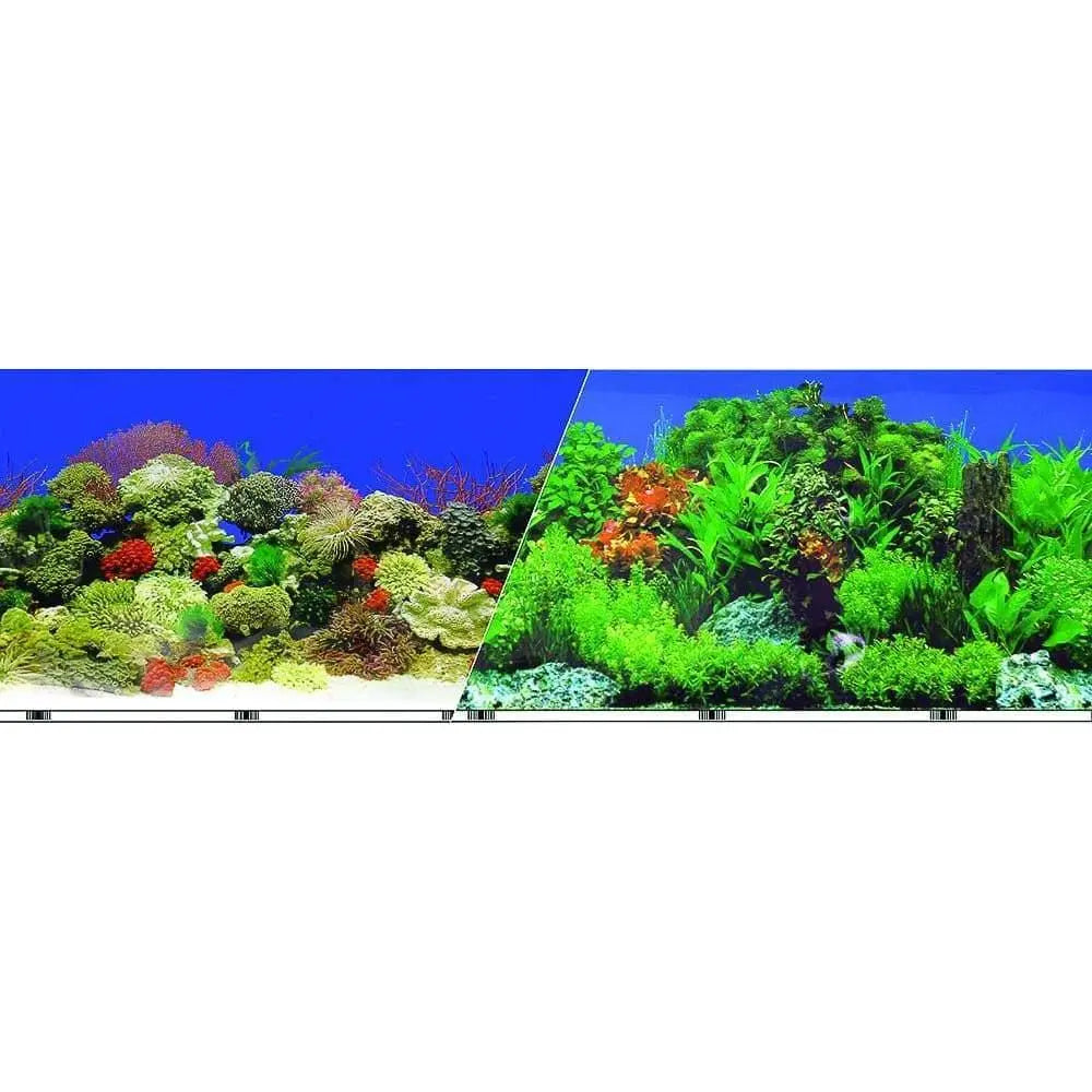 Double-sided Garden-carribbean Coral Background Blue Ribbon Pet
