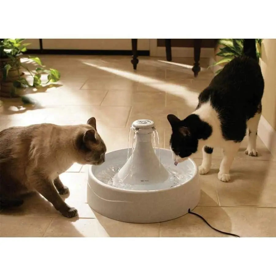 Drinkwell Plastic 360 Pet Fountain 128oz Drinkwell CPD