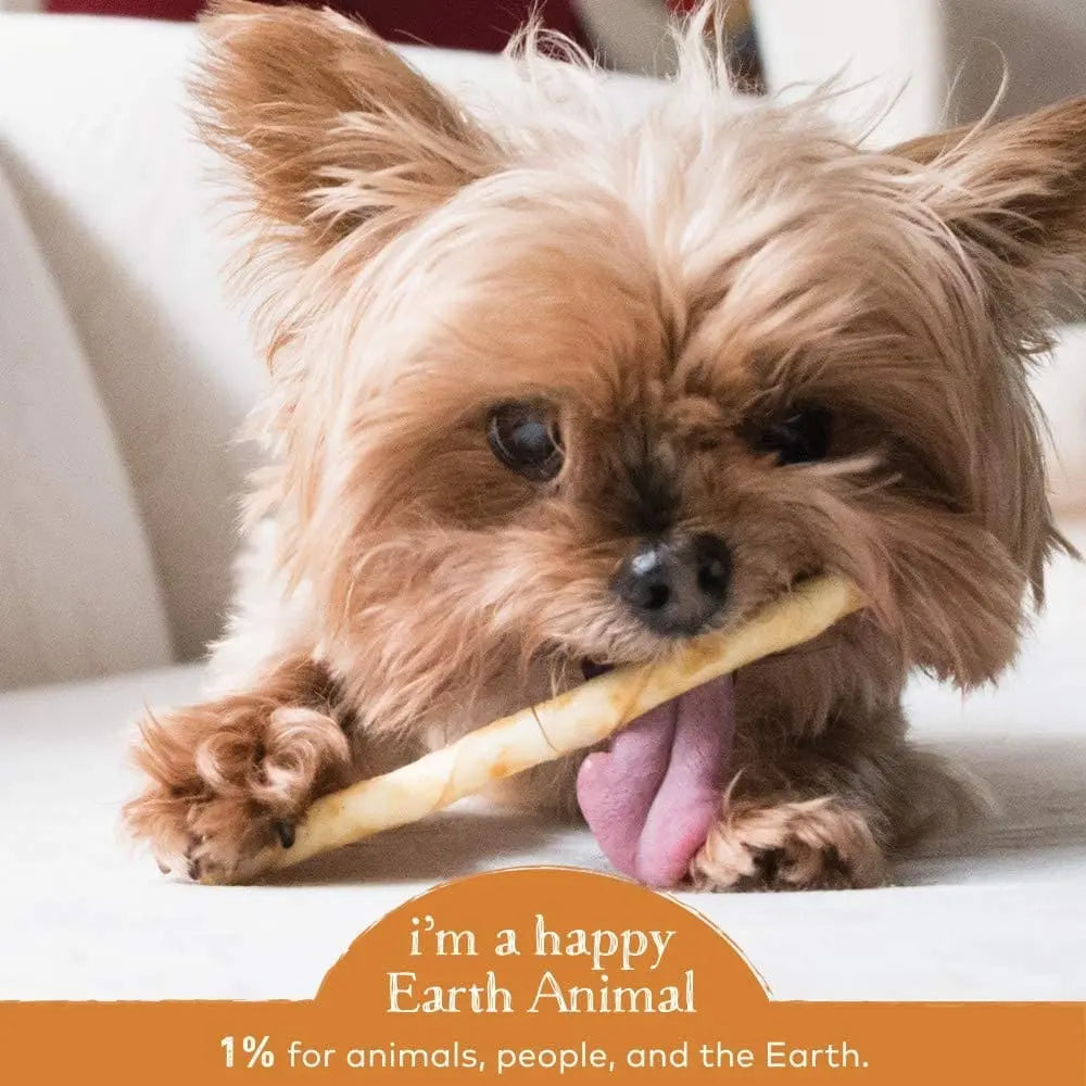 Earth Animal No Hide Chicken Stix Dog Treats, 10 Pack Earth Animal