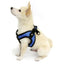 Escape Free Easy Fit Harness Gooby WP