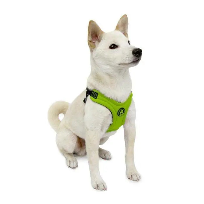 Gooby escape cheap free harness