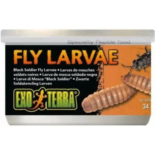 Exo Terra Canned Black Soldier Fly Larvae Specialty Reptile Food Exo-Terra
