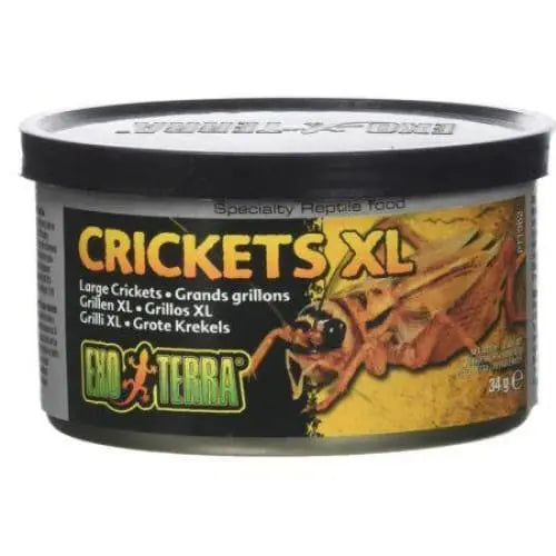 Exo Terra Canned Crickets XL Specialty Reptile Food Exo-Terra