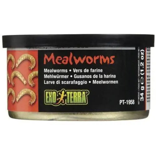 Exo Terra Canned Mealworms Specialty Reptile Food Exo-Terra