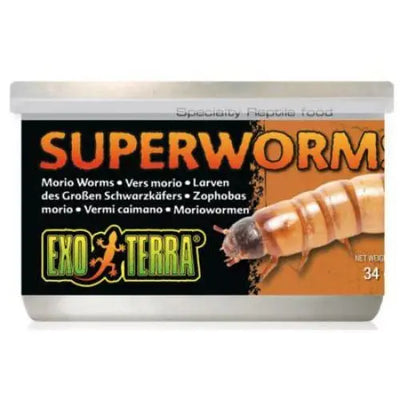 Exo Terra Canned Superworms Specialty Reptile Food Exo-Terra