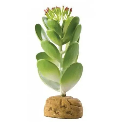 Exo-Terra Desert Jade Cactus Terrarium Plant Exo-Terra