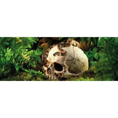 Exo Terra Terrarium Primate Skull Decoration Exo-Terra