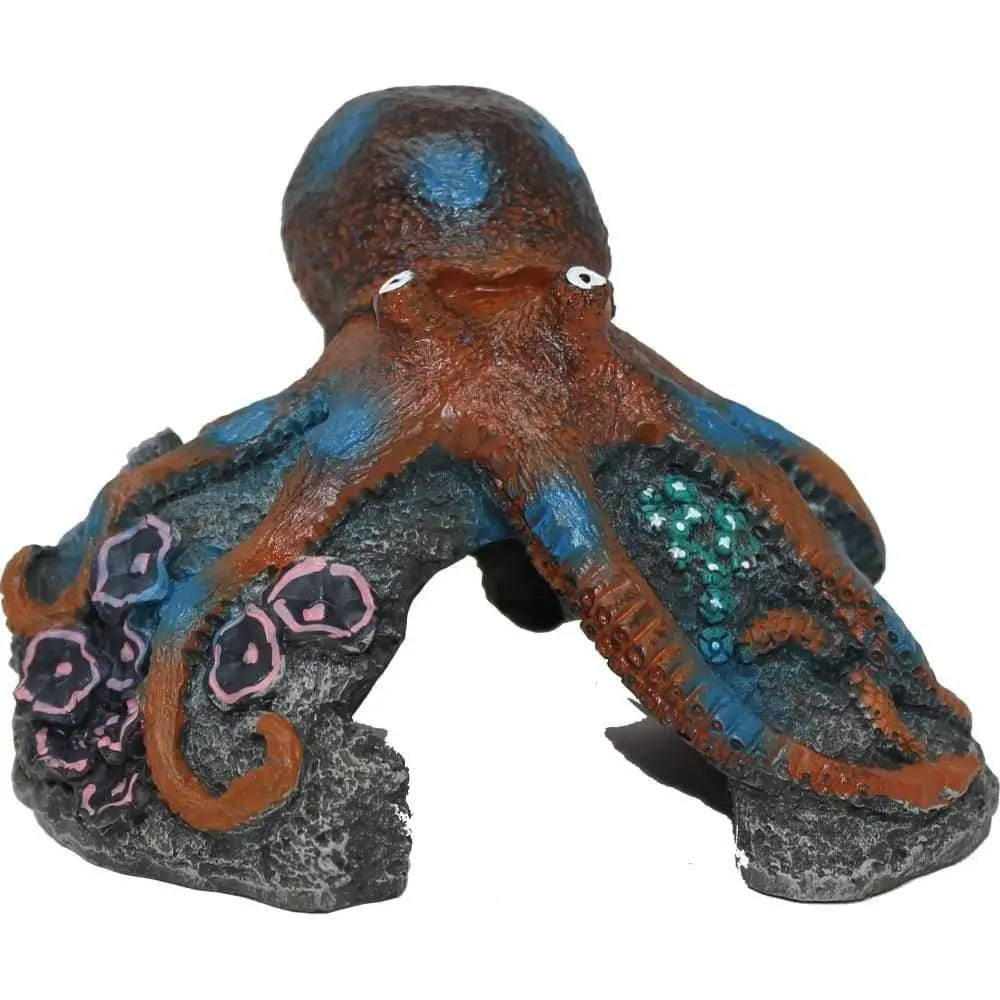 Exotic Environments Blue Ring Octopus Blue Ribbon Pet