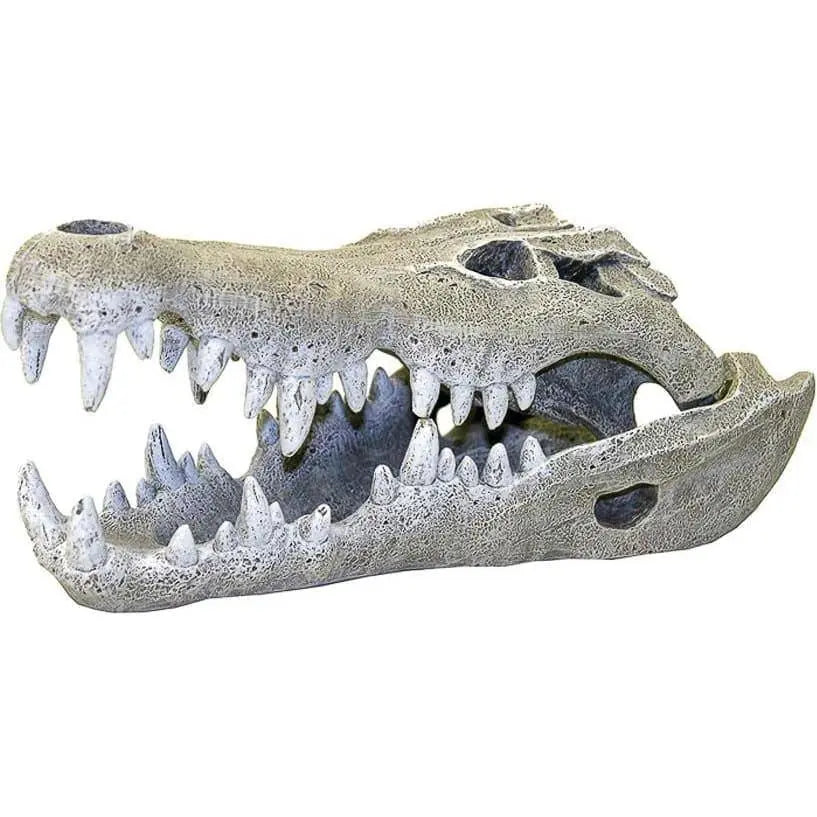 Exotic Environments Nile Crocodile Skull Blue Ribbon Pet