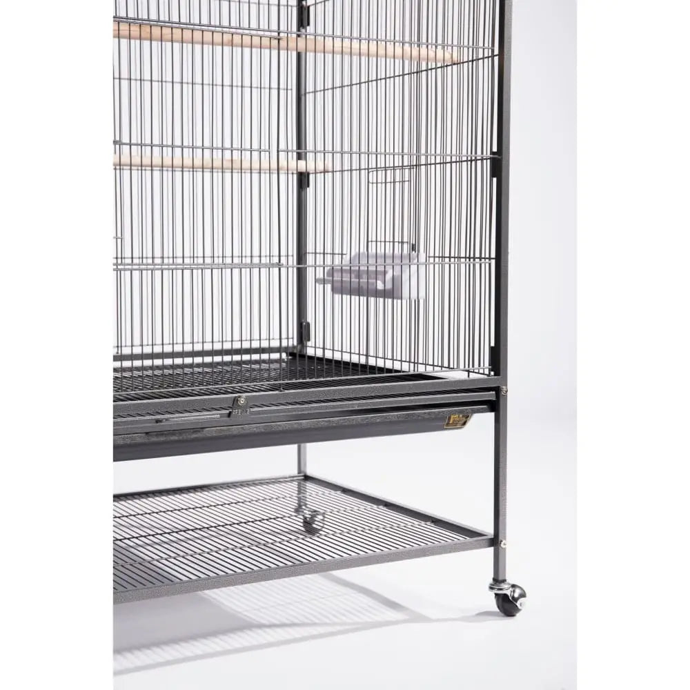 Extra Large Wrought Iron Flight Bird Cage F050 Prevue Pet