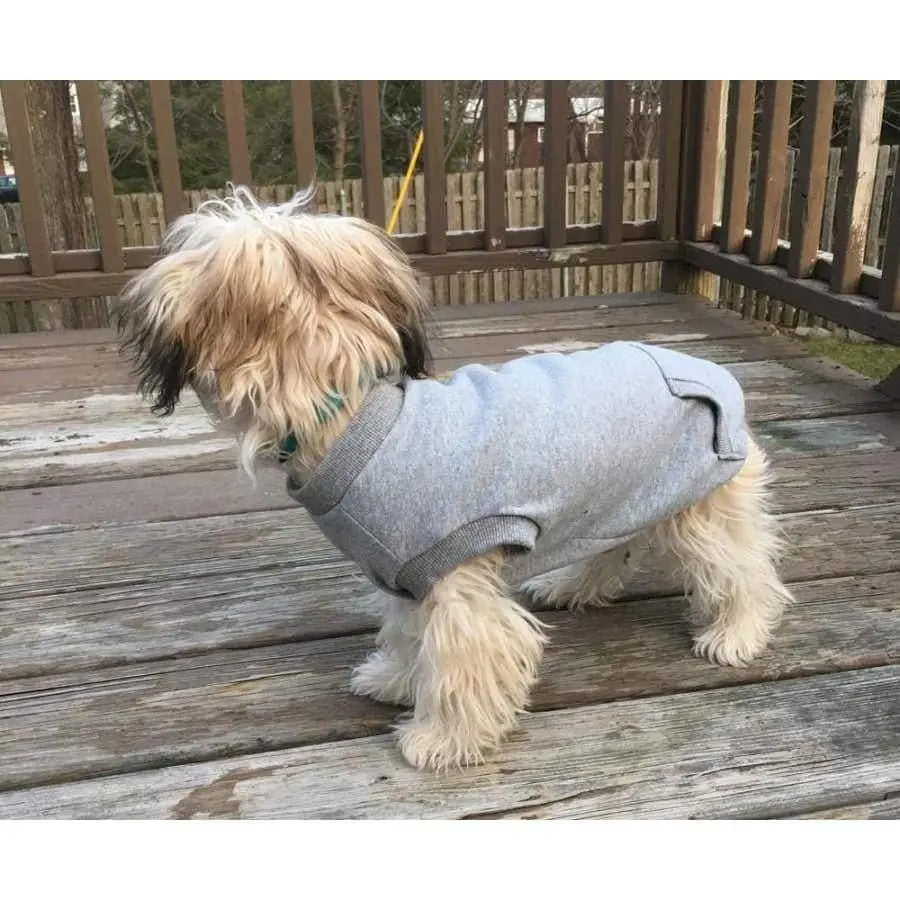 Fashion Pet Dog Sweatshirt Grey Fashion Pet CPD